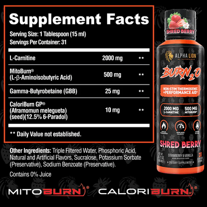 Alpha Lion Burn 20